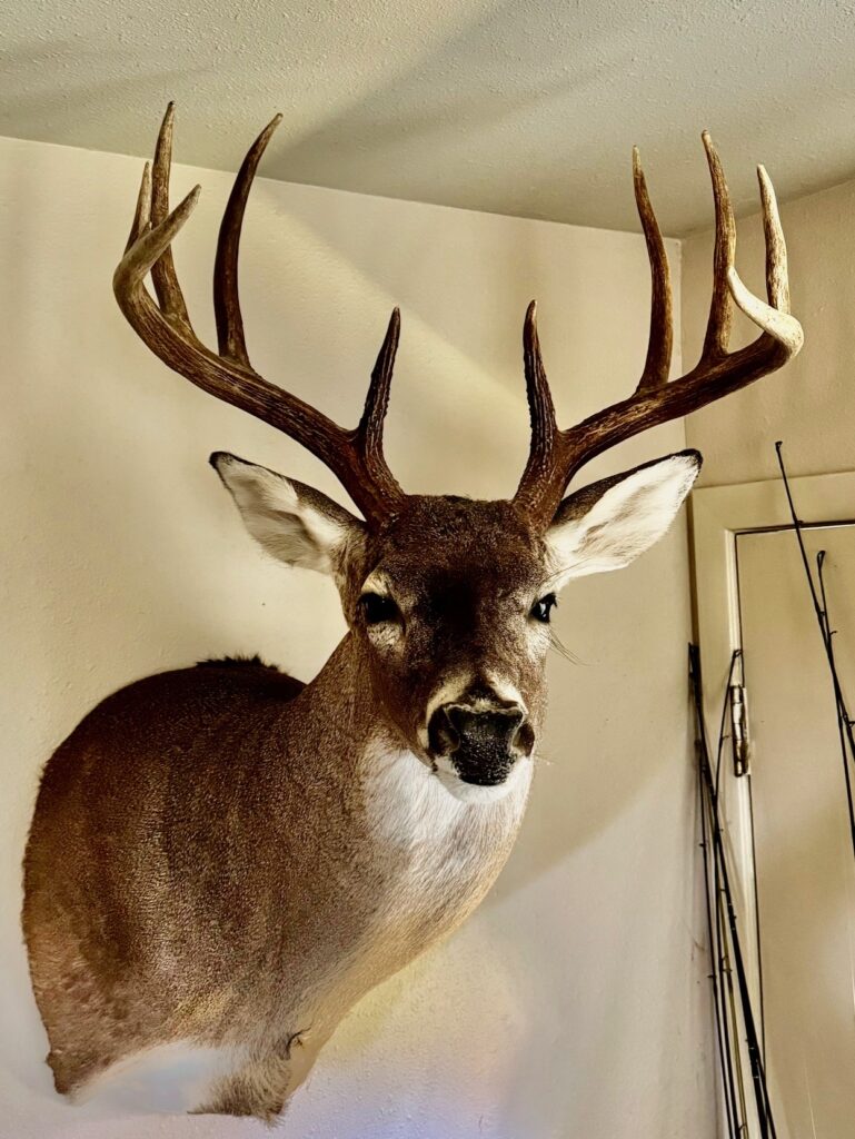 Indian Creek Ranch – Wildlife – Image 14