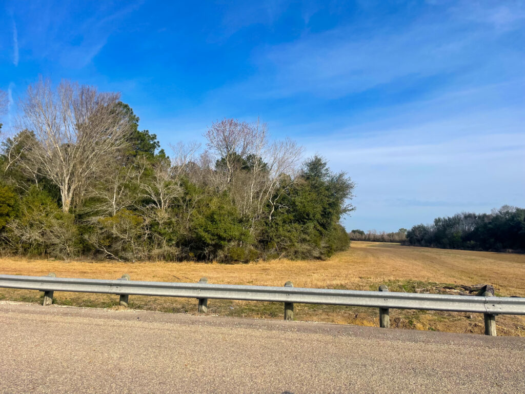Walden Road Wooded Tract – Miscellaneous – Image 8