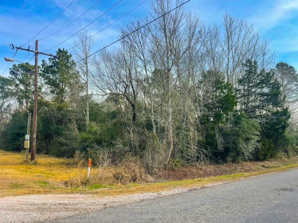Walden Road Wooded Tract – Miscellaneous – Image 9