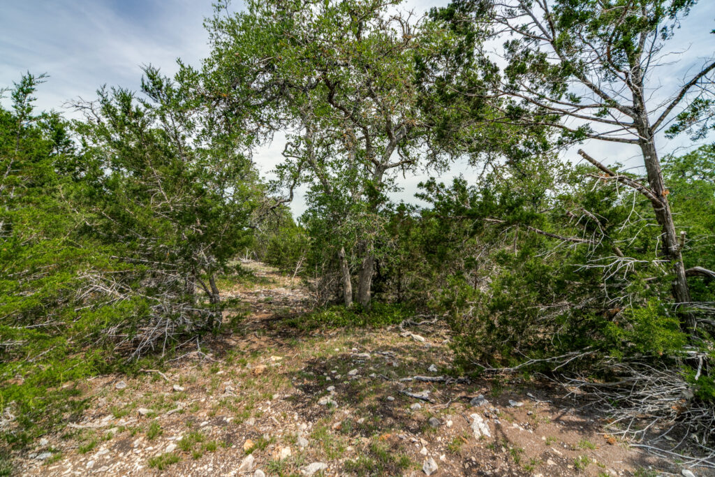 Dallenbach Ranch – Land & Terrain – Image 1