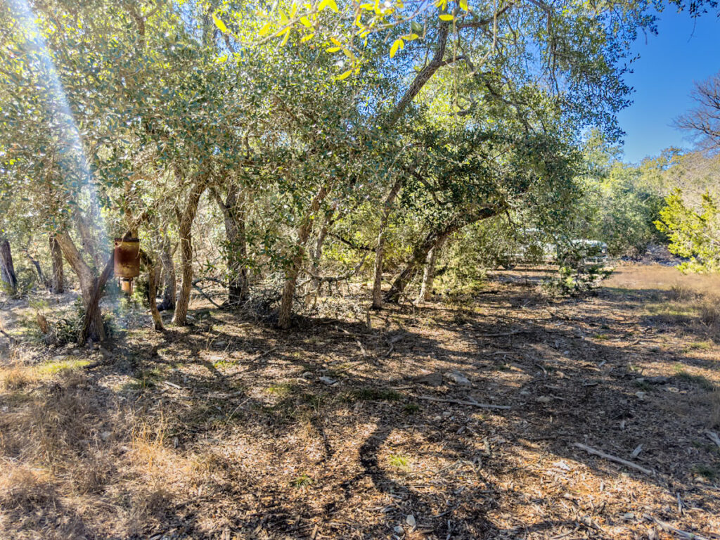 Little Blanco River Ranch – Trees & Timber – Image 3