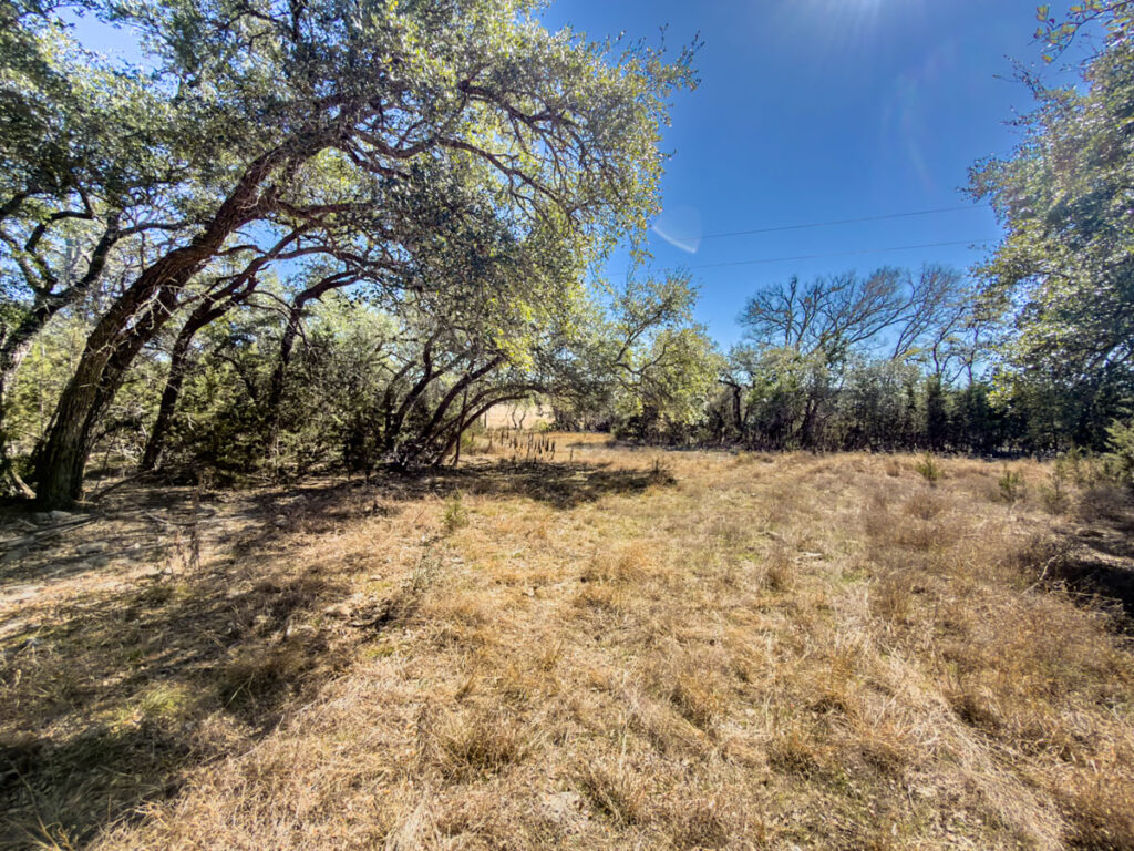 Little Blanco River Ranch – Trees & Timber – Image 5