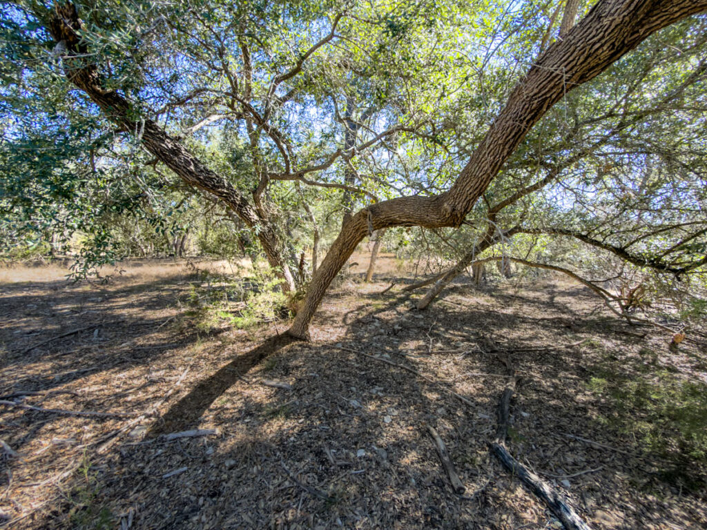 Little Blanco River Ranch – Land & Terrain – Image 3