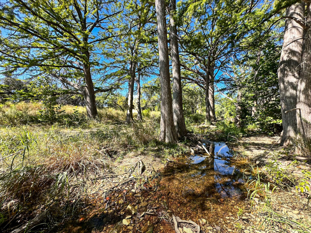 Little Blanco River Ranch – Creeks & Rivers – Image 1