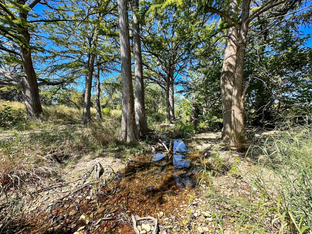 Little Blanco River Ranch – Creeks & Rivers – Image 2