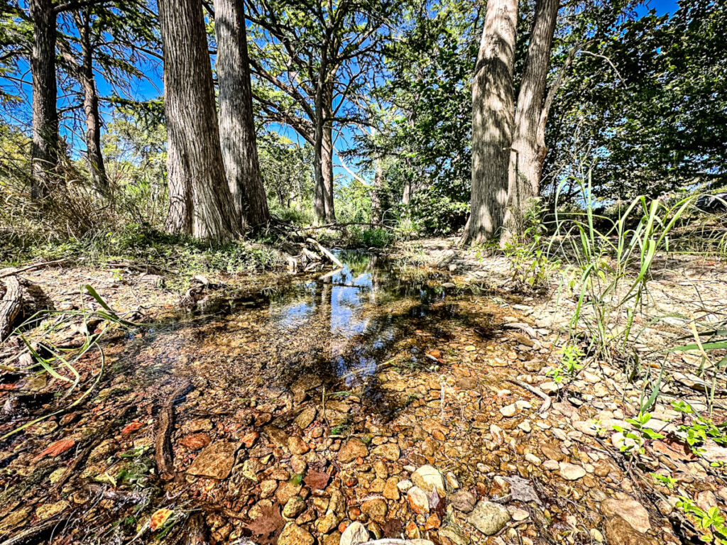Little Blanco River Ranch – Creeks & Rivers – Image 7