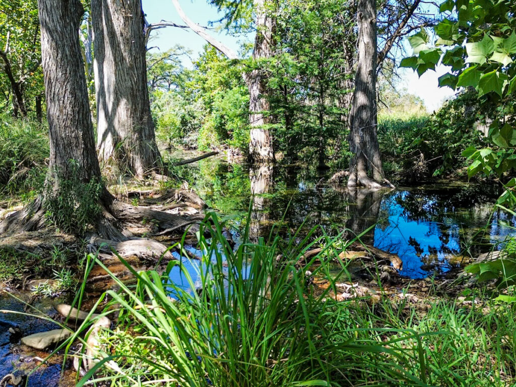Little Blanco River Ranch – Creeks & Rivers – Image 5