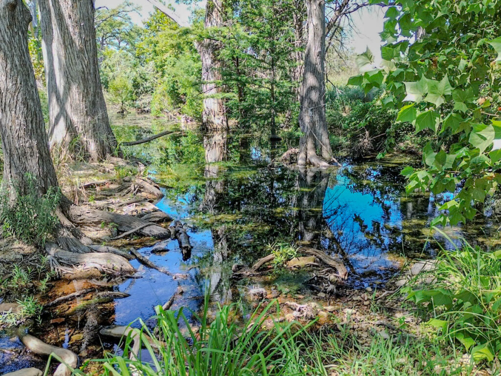 Little Blanco River Ranch – Creeks & Rivers – Image 9