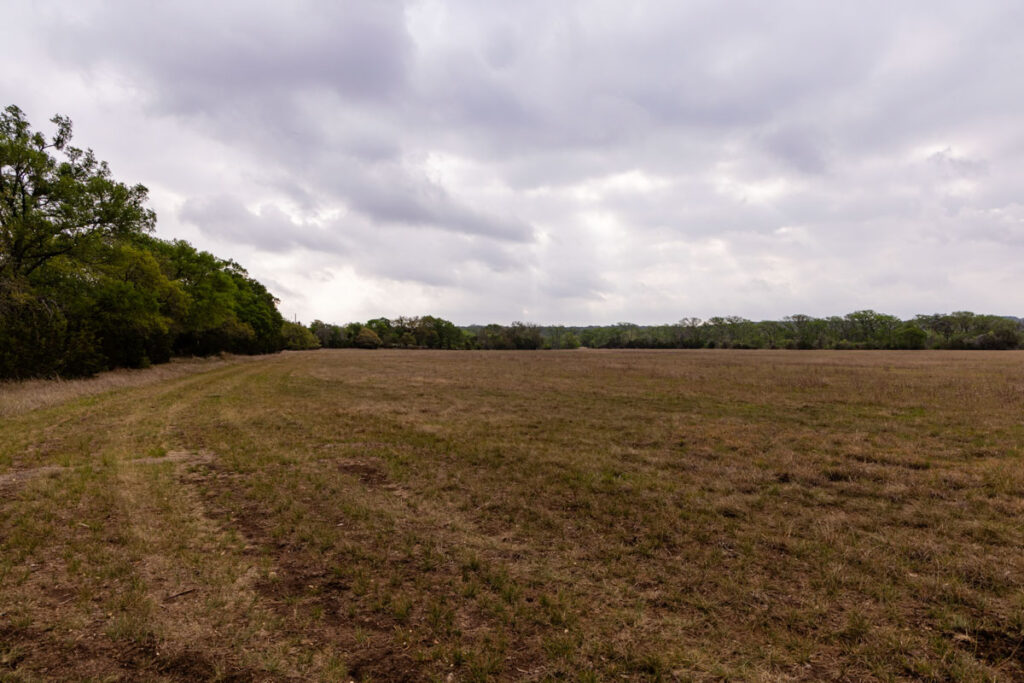 Little Blanco River Ranch – Pastures & Grazing – Image 1