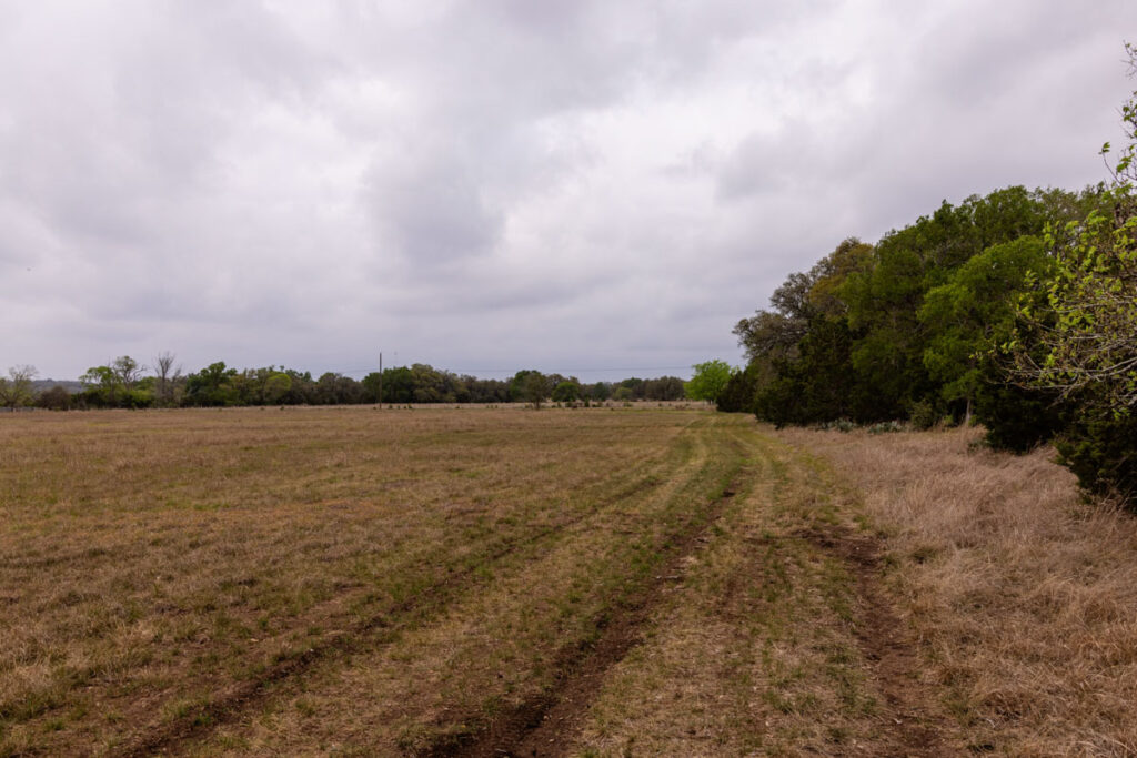 Little Blanco River Ranch – Pastures & Grazing – Image 2
