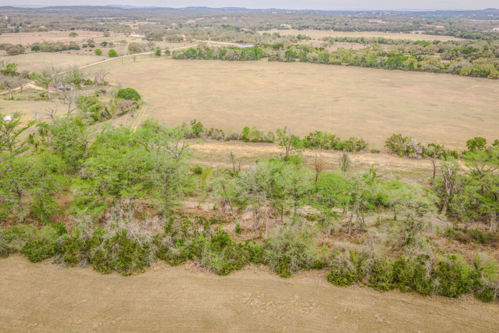 Little Blanco River Ranch – Pastures & Grazing – Image 7