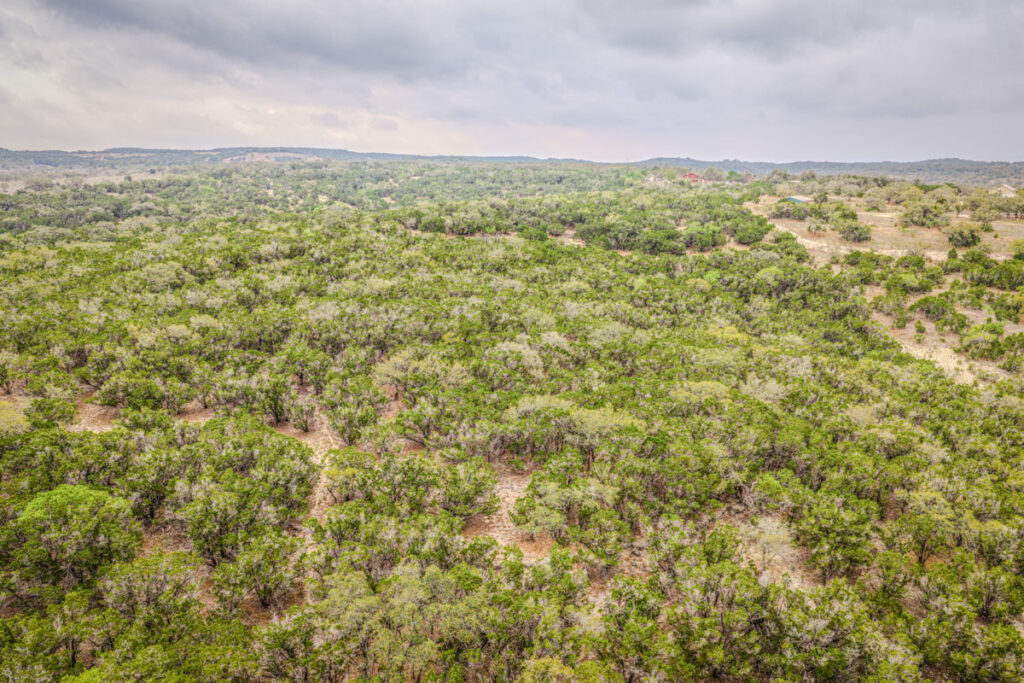Little Blanco River Ranch – Land & Terrain – Image 14