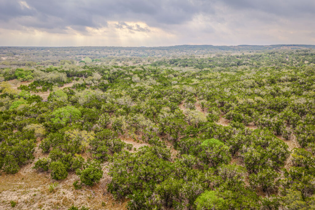 Little Blanco River Ranch – Land & Terrain – Image 15