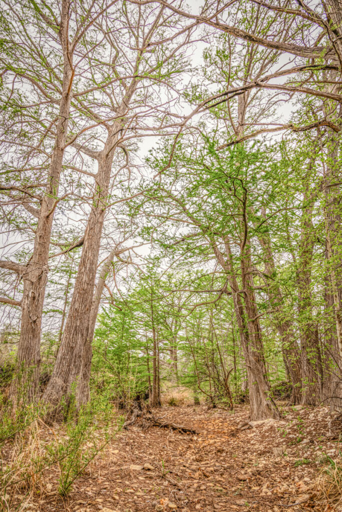 Little Blanco River Ranch – Creeks & Rivers – Image 11