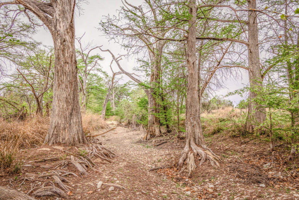 Little Blanco River Ranch – Creeks & Rivers – Image 12