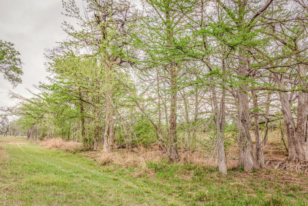 Little Blanco River Ranch – Trees & Timber – Image 16