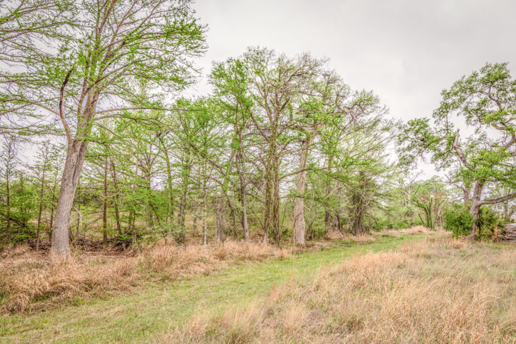 Little Blanco River Ranch – Trees & Timber – Image 22