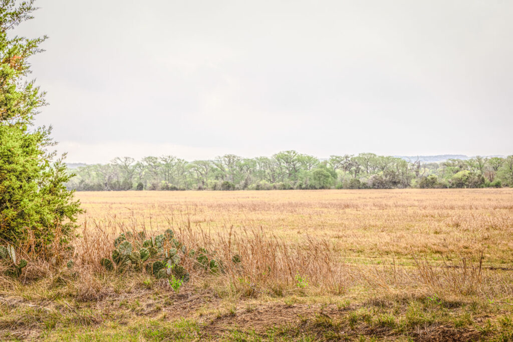 Little Blanco River Ranch – Land & Terrain – Image 18