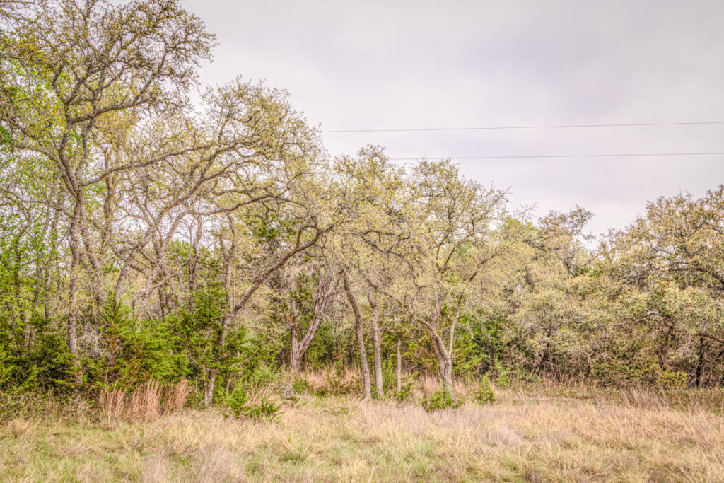 Little Blanco River Ranch – Trees & Timber – Image 26