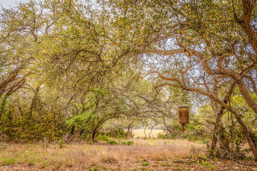 Little Blanco River Ranch – Wildlife – Image 3