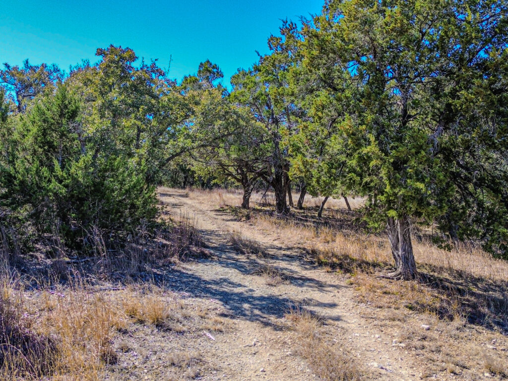 Little Blanco River Ranch – Trees & Timber – Image 27