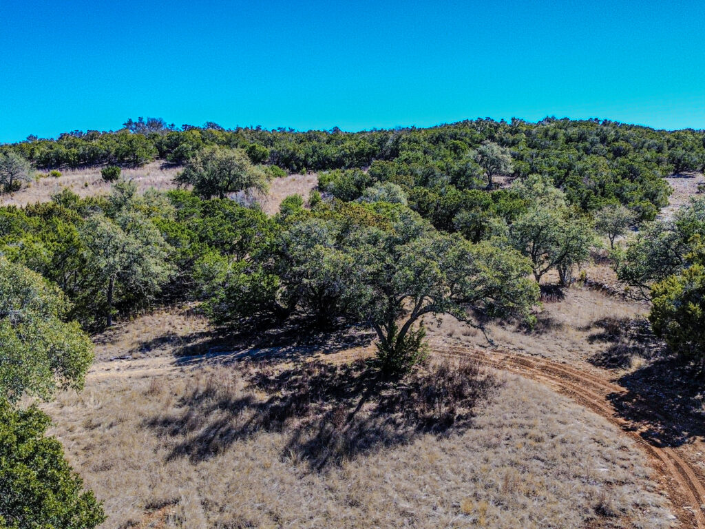 Little Blanco River Ranch – Trees & Timber – Image 29