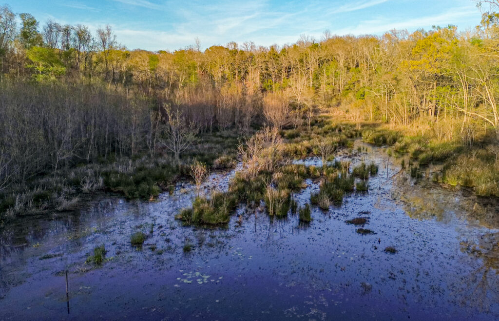 Whispering Pines Ranch – Miscellaneous – Image 1