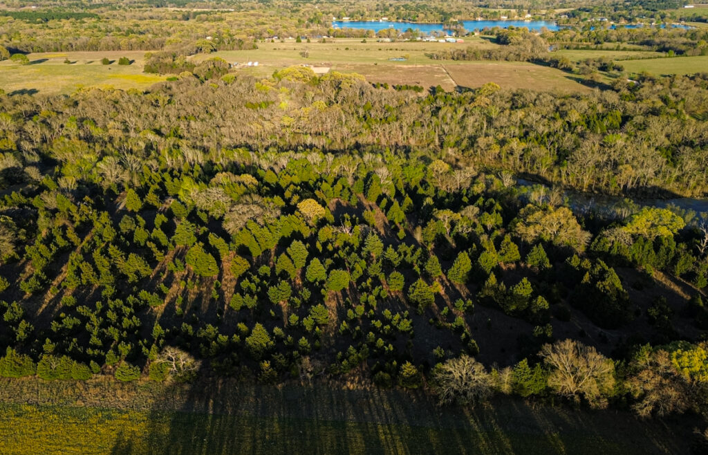 Whispering Pines Ranch – Miscellaneous – Image 4