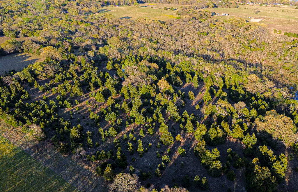 Whispering Pines Ranch – Miscellaneous – Image 5