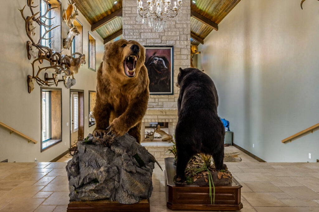 Williams Estate – Miscellaneous – Image 16