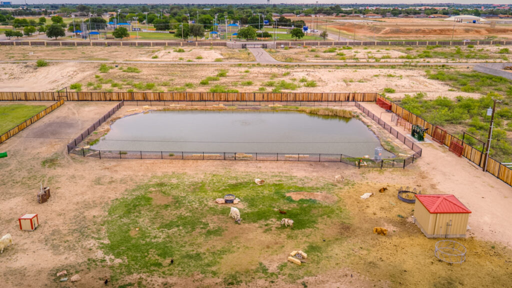 Williams Estate – Miscellaneous – Image 78