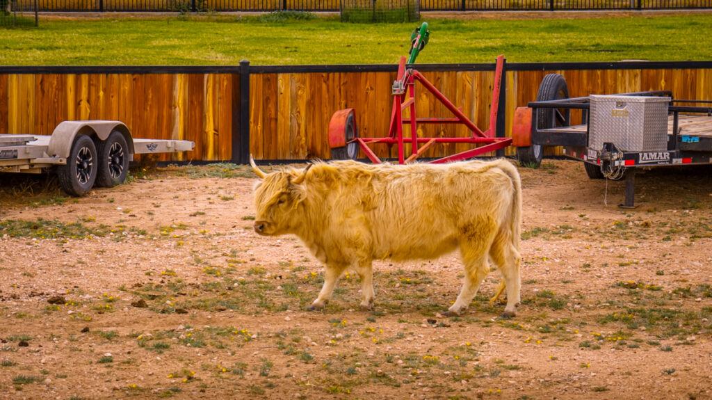 Williams Estate – Miscellaneous – Image 81