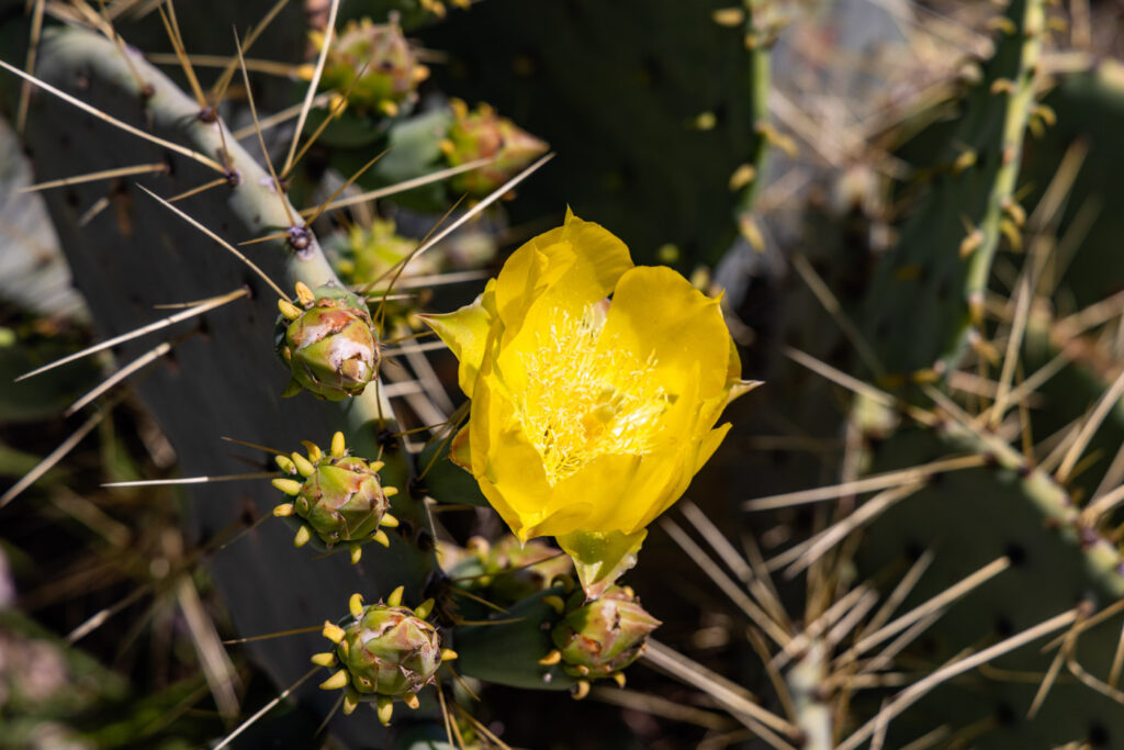 DeeNada Bass Ranch – Miscellaneous – Image 146