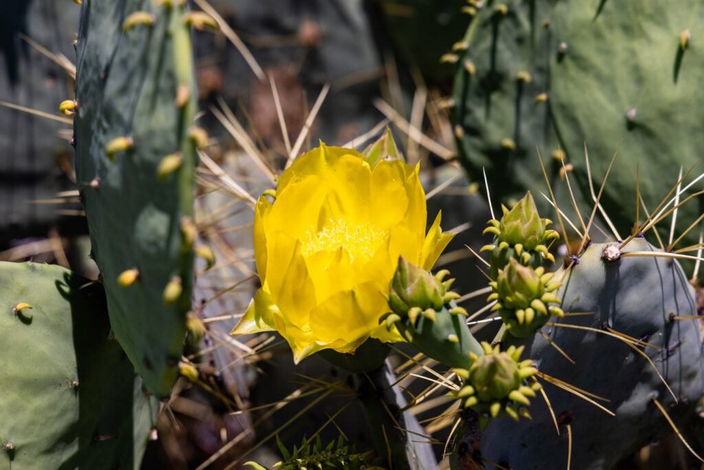 DeeNada Bass Ranch – Miscellaneous – Image 145
