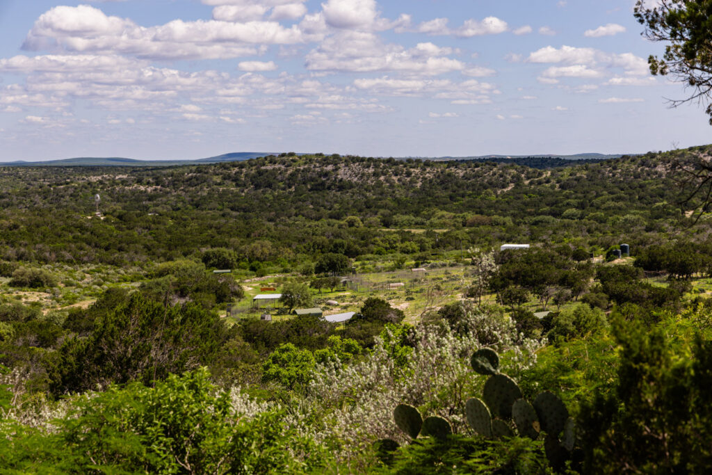 DeeNada Bass Ranch – Miscellaneous – Image 83