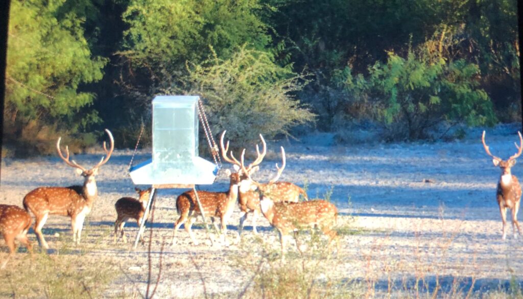Pinto Springs Ranch – Seller-Provided Photos – Image 1