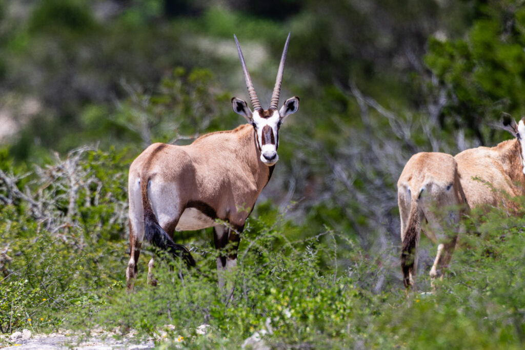 DeeNada Bass Ranch – Miscellaneous – Image 9