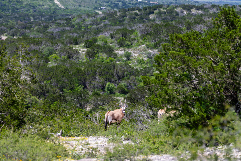 DeeNada Bass Ranch – Miscellaneous – Image 3