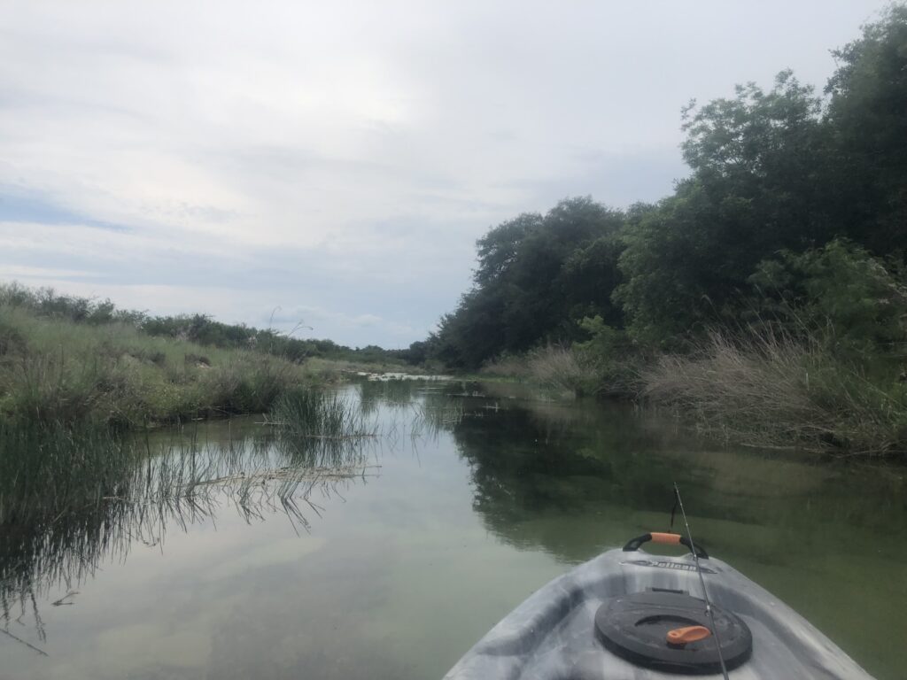 Pinto Springs Ranch – Seller-Provided Photos – Image 6